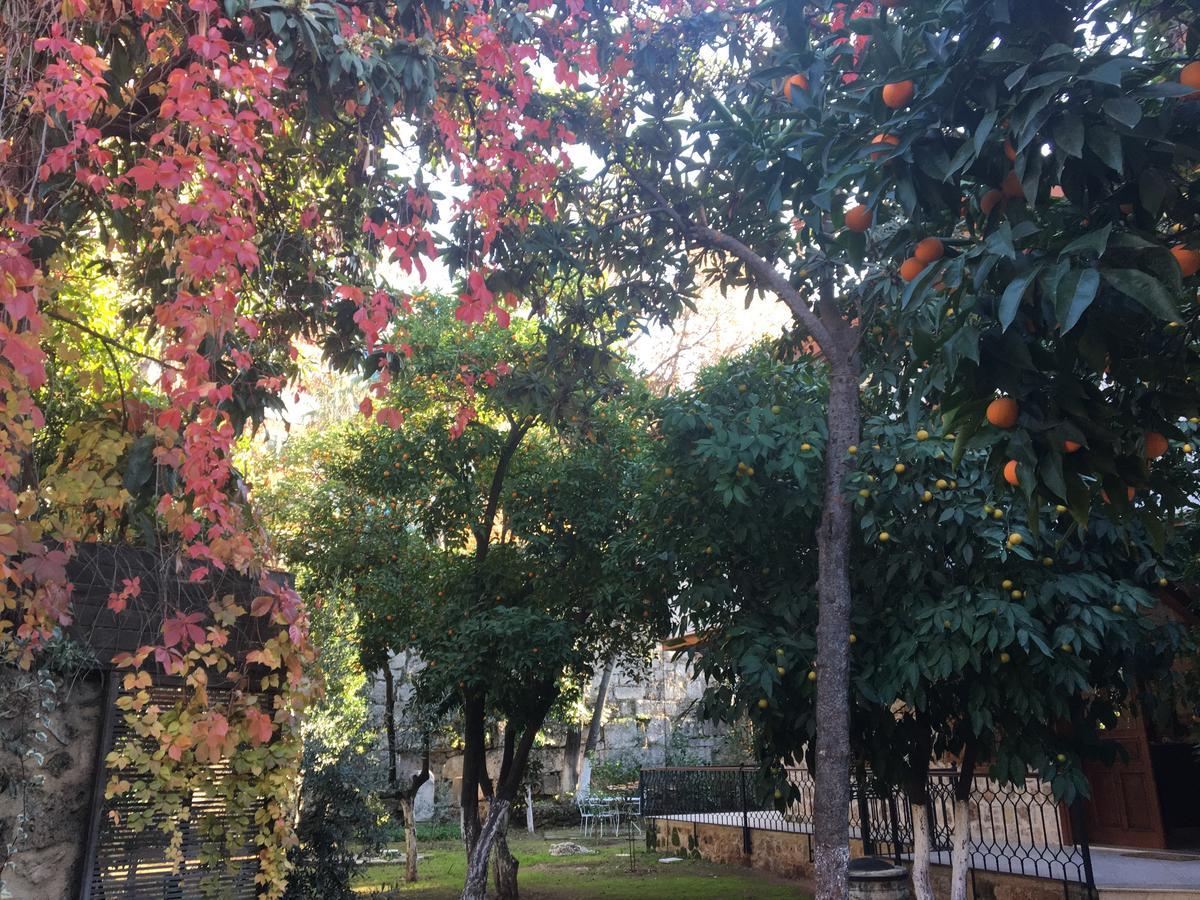 Citrus Garden Hotel Antalia Esterno foto
